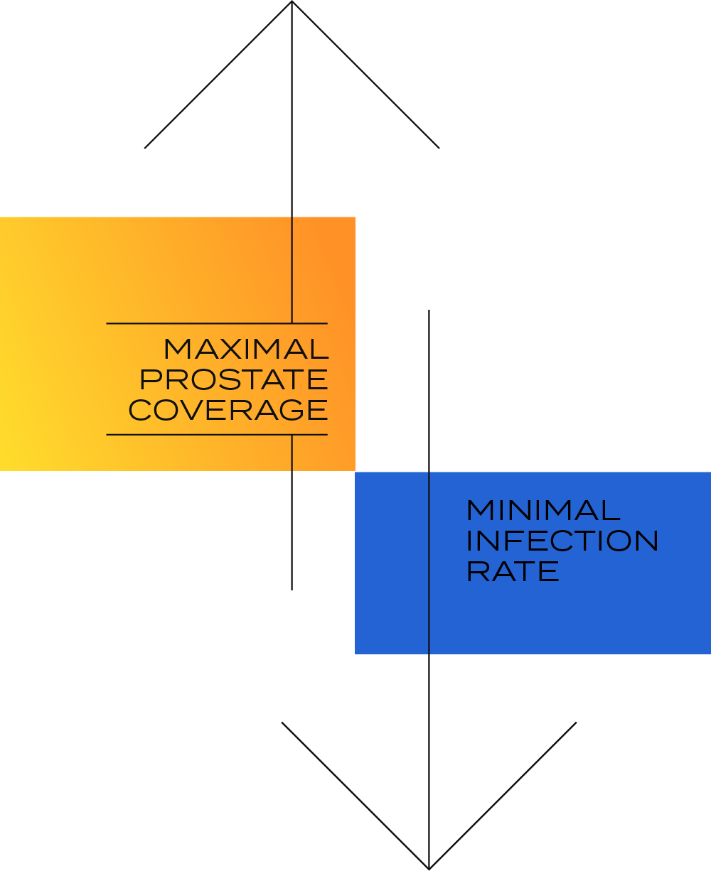 Two thin black arrows pointing up and down. Orange and blue rectangles behind them. "Maximal prostate coverage" next to the first arrow, "Minimal infection rate" next to the second one.
